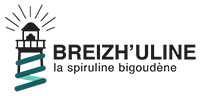breizhuline-logo-horizontal-couleur