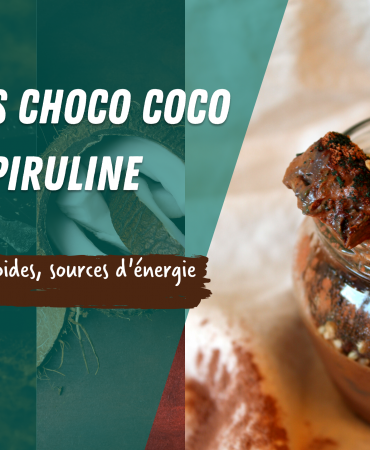 recette crème chocolat lait de coco spiruline en paillettes française artisanale source d'énergie rapide à préparer saine vegan végétale